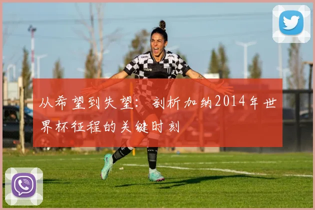 从希望到失望：剖析加纳2014年世界杯征程的关键时刻